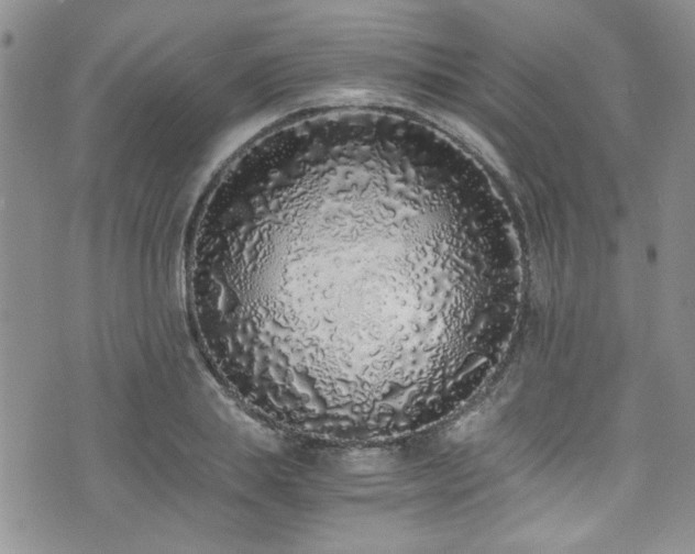 X0000076250839200609281137