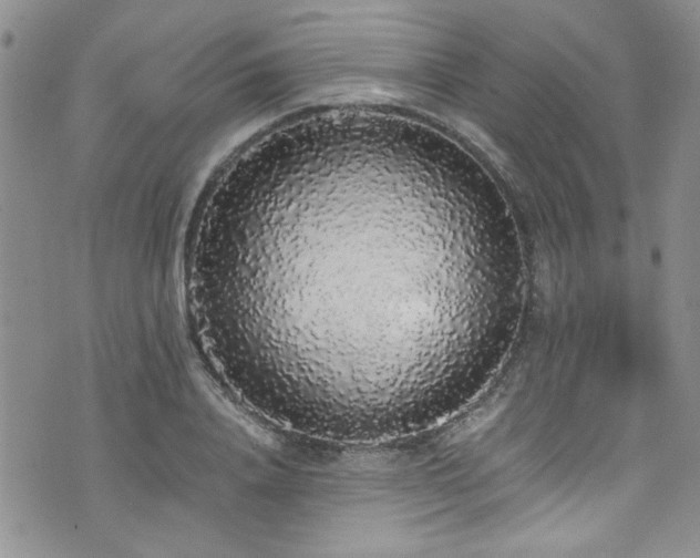 X0000076250840200609281137