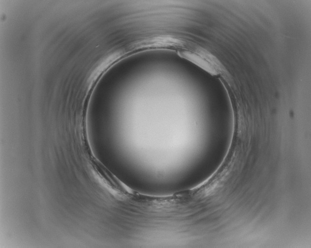 X0000076250850200609281137