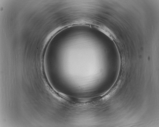 X0000076250854200609281137