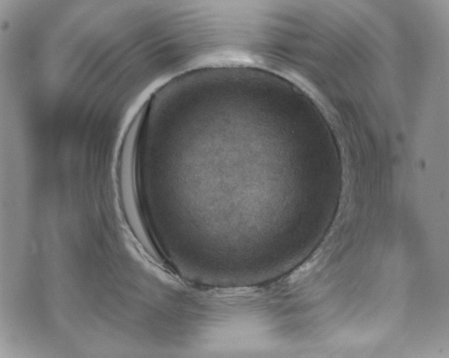X0000076250864200609281138