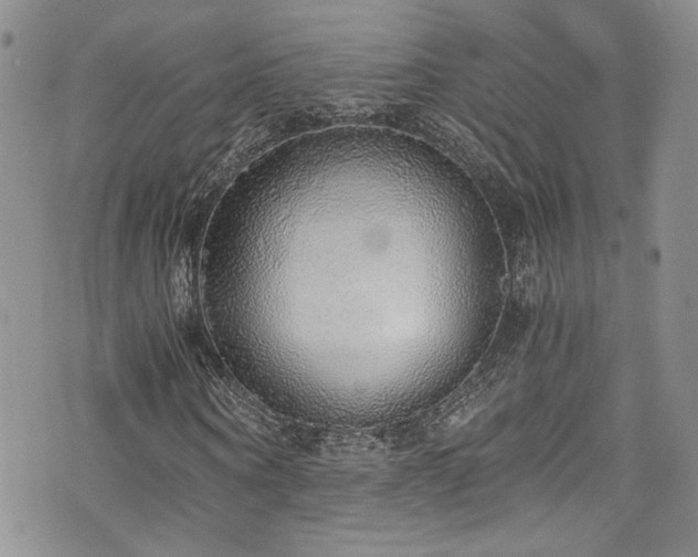 X0000076250866200609281137