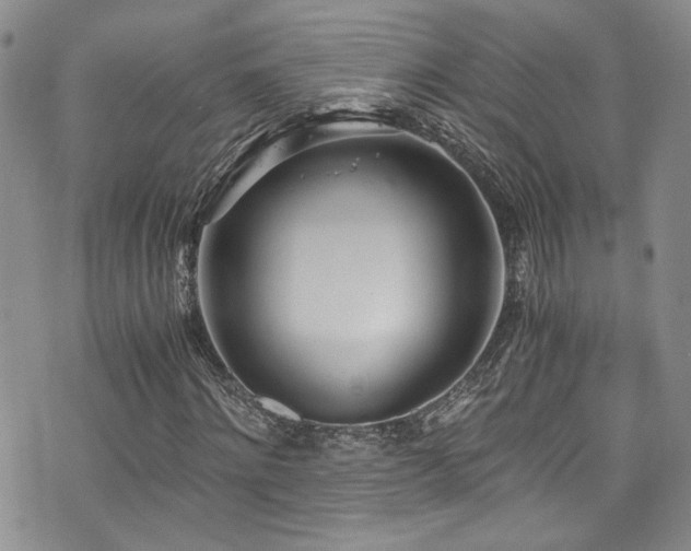 X0000076250868200609281137
