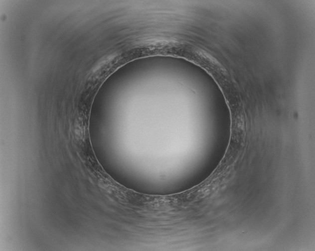 X0000076250869200609281137