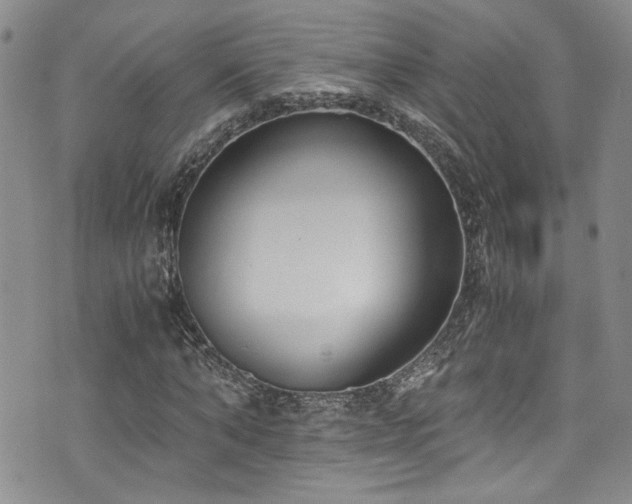 X0000076250870200609281137