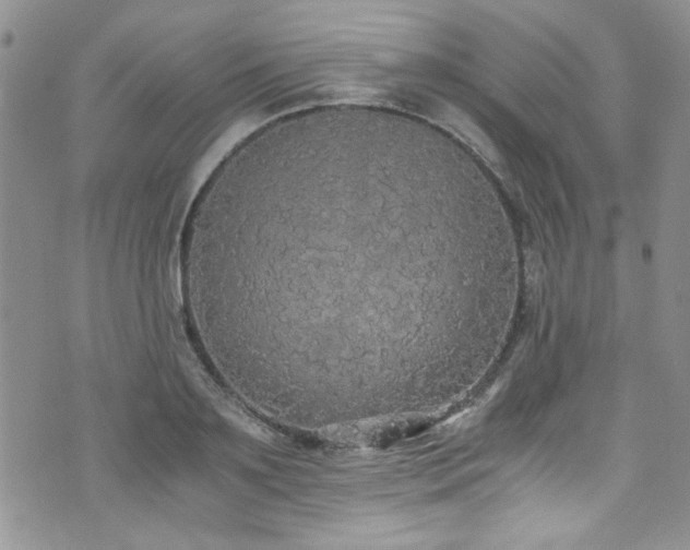 X0000076250891200609281136