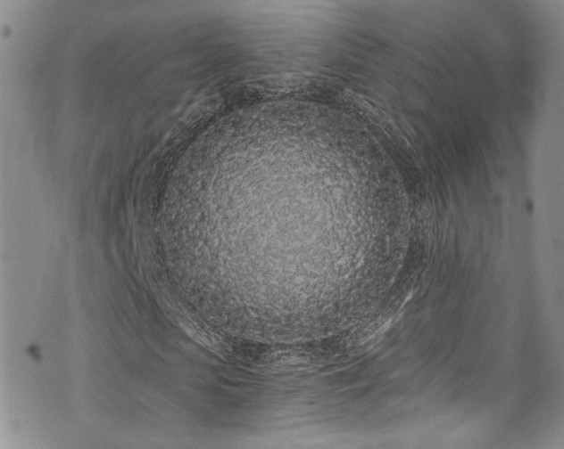 X0000076250913200609281135
