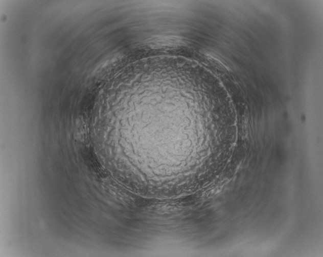 X0000076250917200609281135