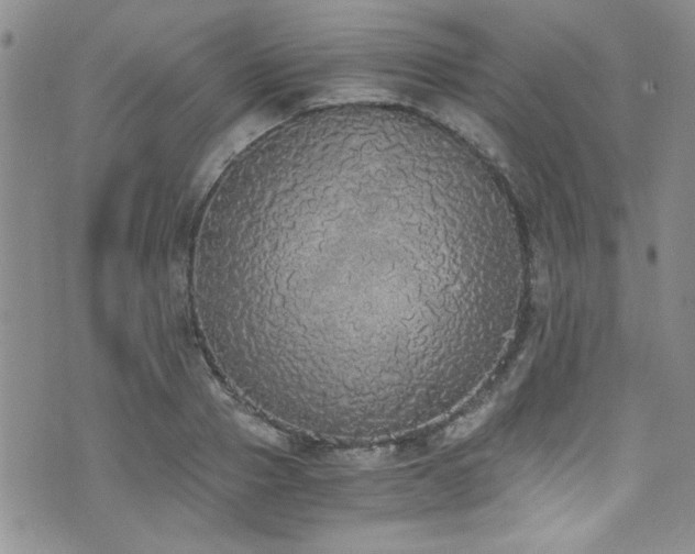 X0000076250937200609281136