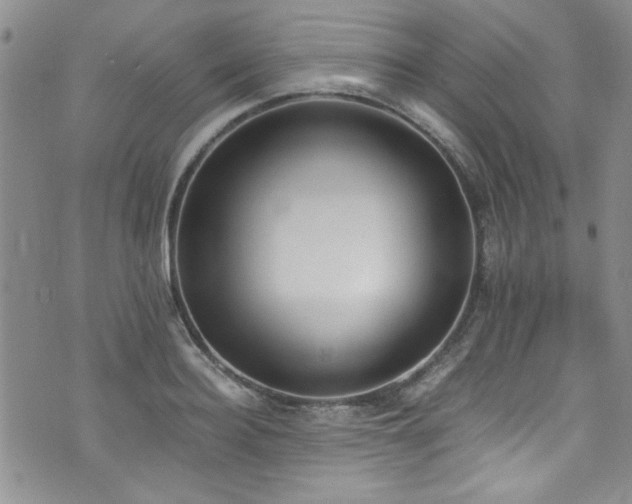 X0000076250940200609281136