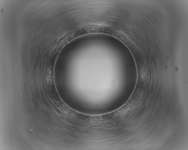 X0000076250964200609281135