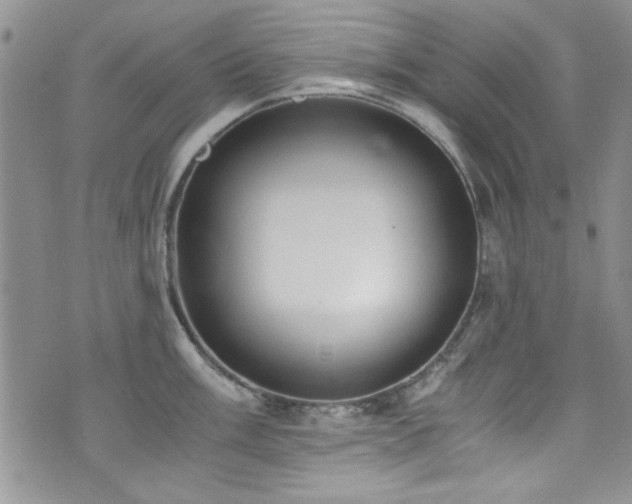 X0000076251003200609281135