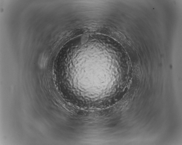 X0000076251009200609281134