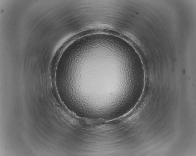 X0000076251022200609281134