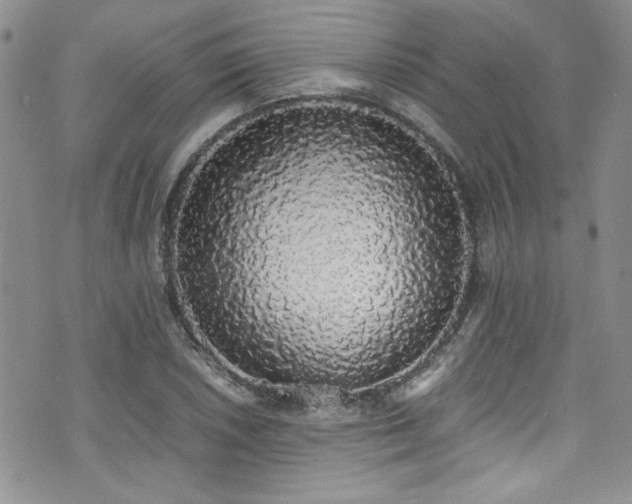 X0000076251026200609281134