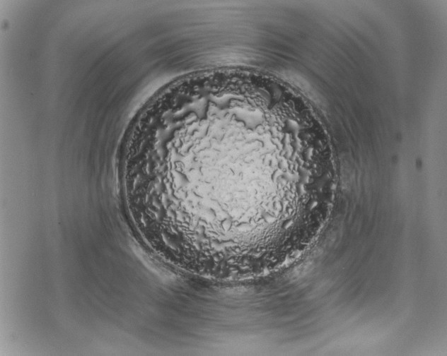 X0000076251031200609281134