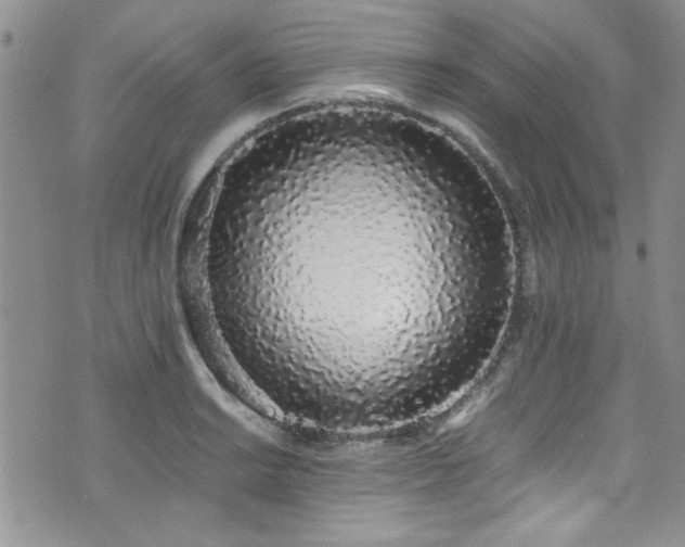 X0000076251038200609281134
