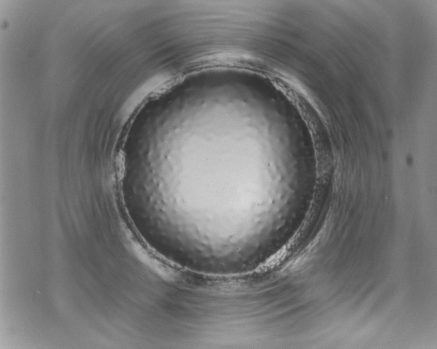 X0000076251042200609281134