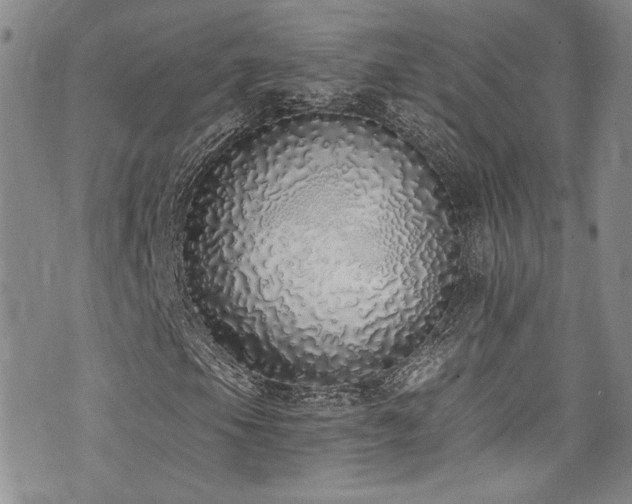 X0000076251105200609281132