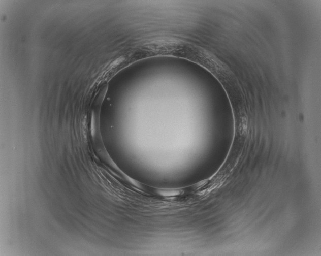 X0000076251108200609281132