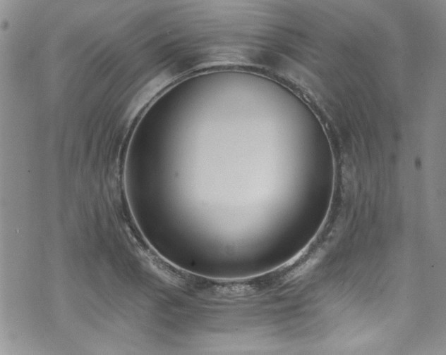 X0000076251129200609281133