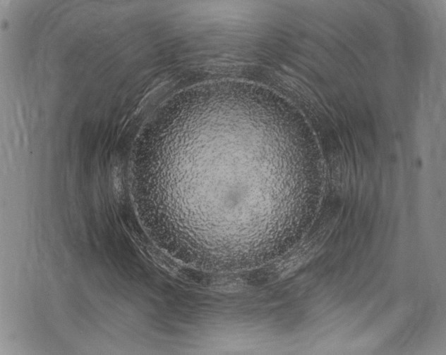 X0000076251154200609281132