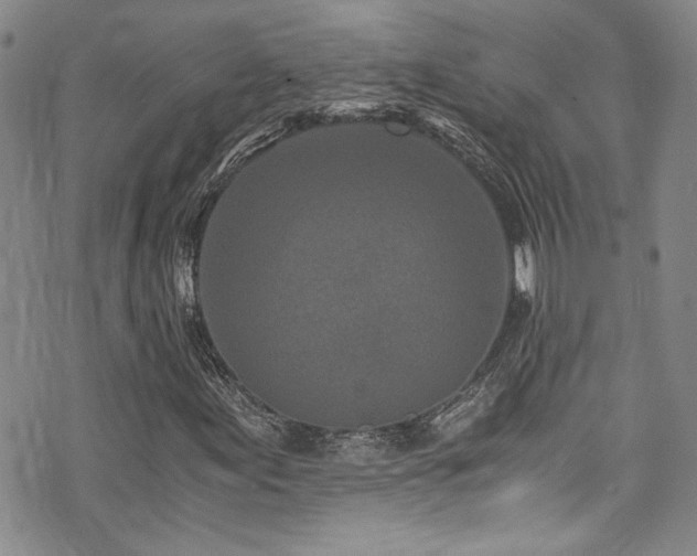 X0000076251155200609281132