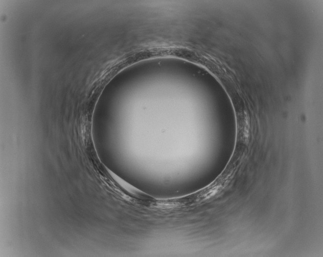 X0000076251157200609281132