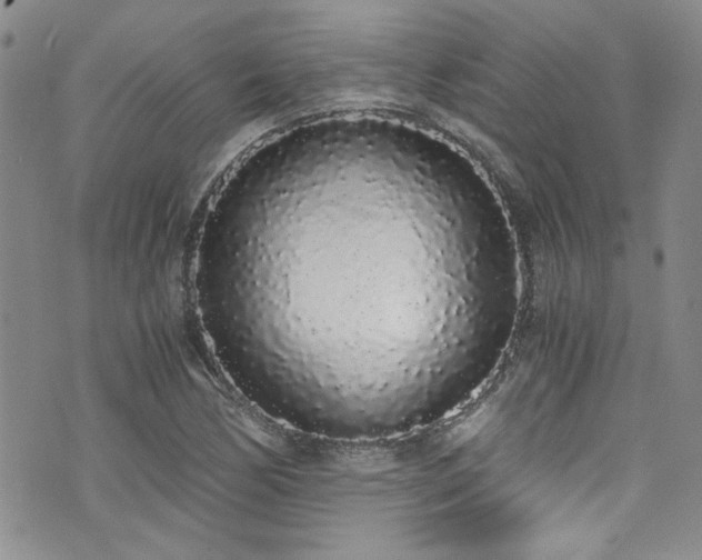 X0000076251170200609281132