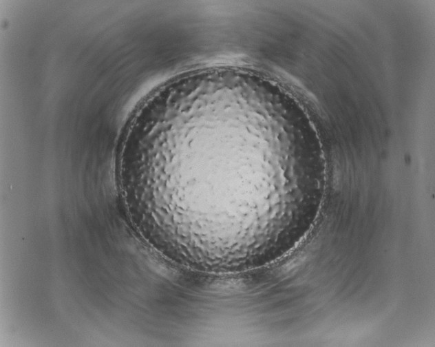 X0000076251174200609281132