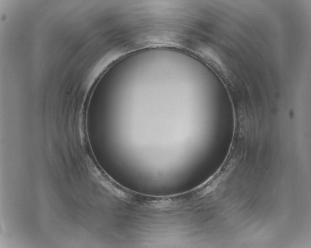 X0000076251182200609281132