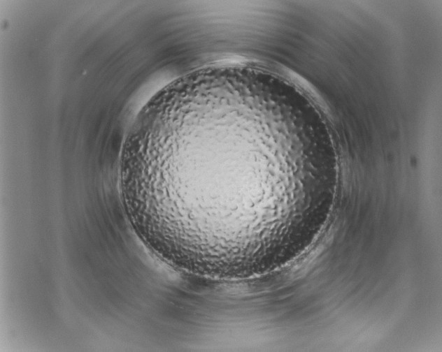 X0000076251194200609281131