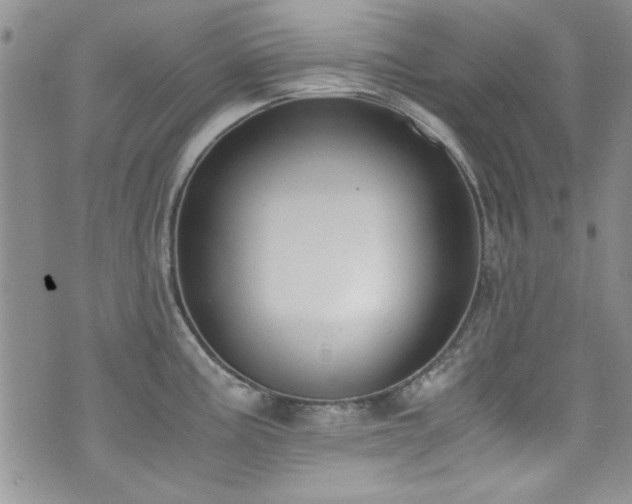 X0000076251195200609281131