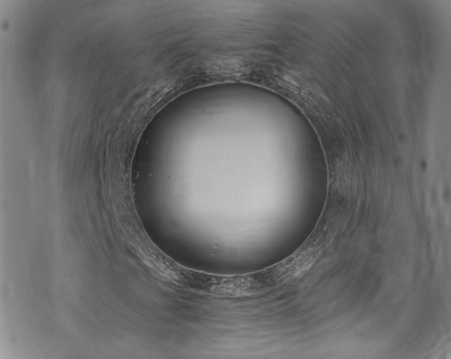 X0000076251201200609281131