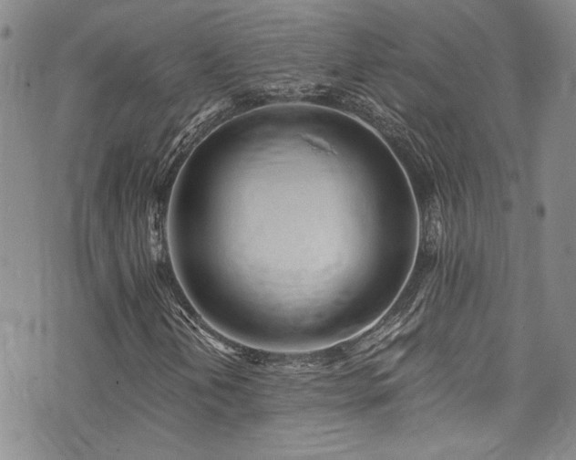 X0000076251202200609281131