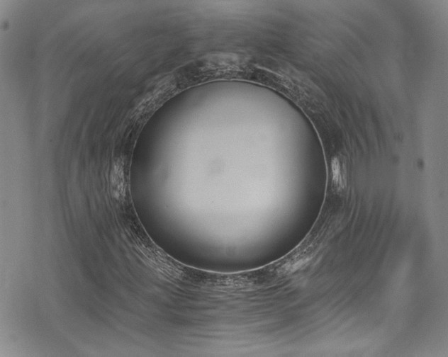X0000076251203200609281131