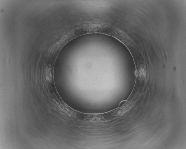 X0000076251204200609281131