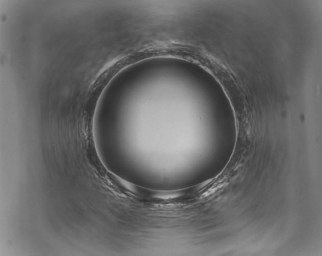 X0000076251206200609281131