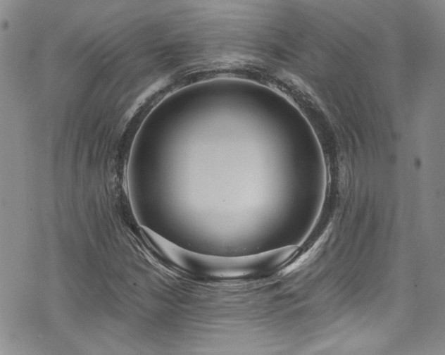 X0000076251210200609281131