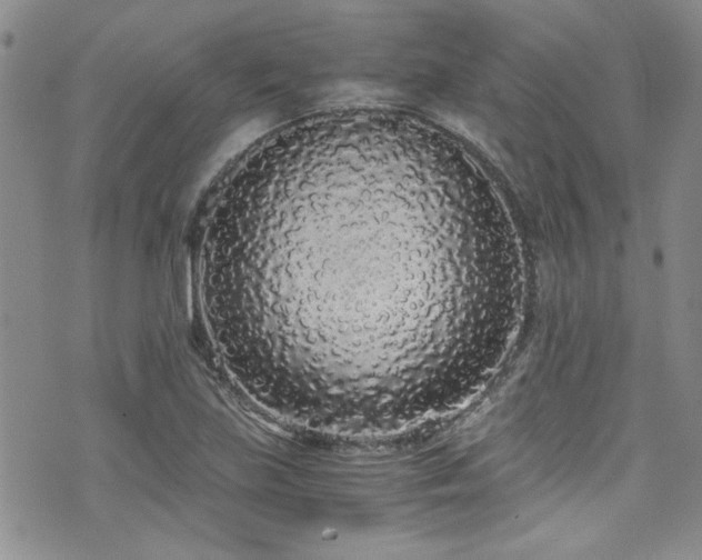 X0000076251219200609281131