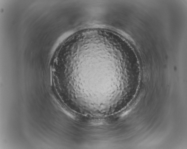 X0000076251223200609281131
