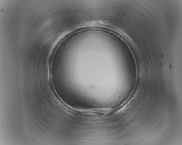 X0000076251224200609281131