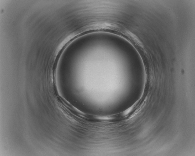 X0000076251226200609281131