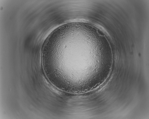 X0000076251228200609281131