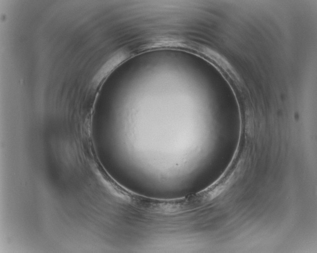 X0000076251241200609281131