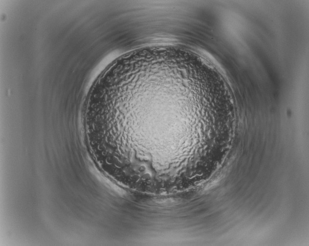 X0000076251243200609281131