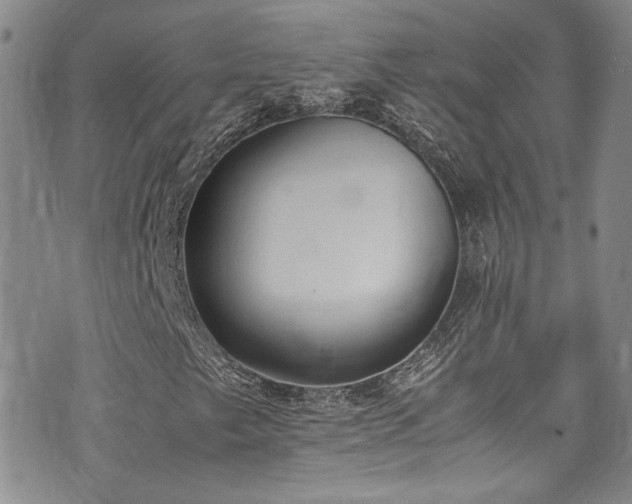 X0000076251249200609281131