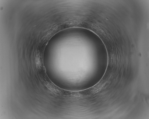 X0000076251250200609281131