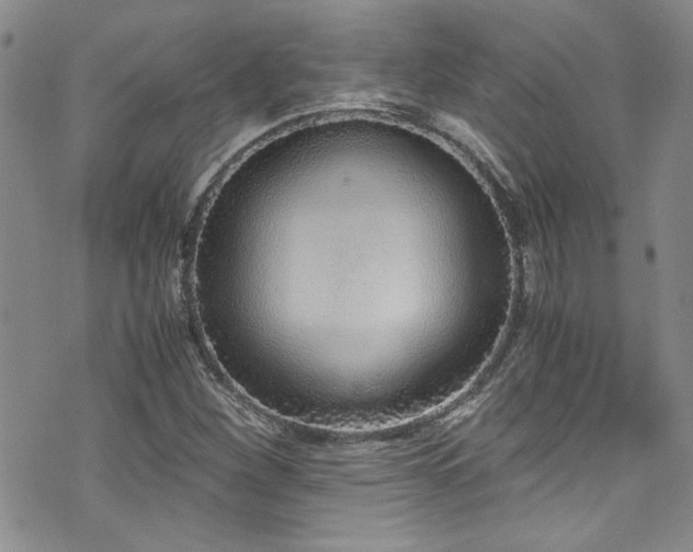 X0000076251260200609281130