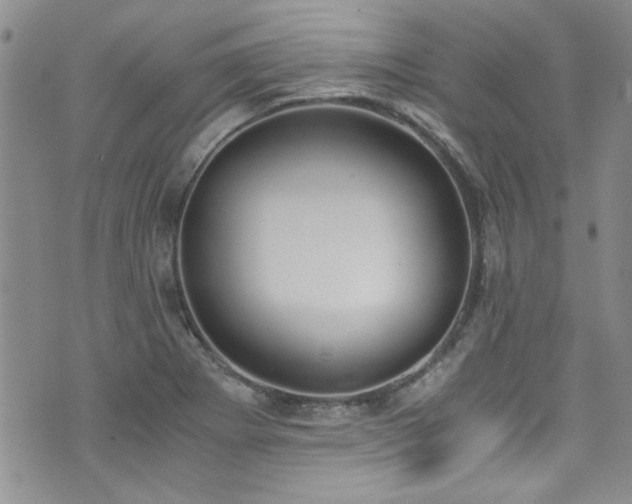 X0000076251273200609281130